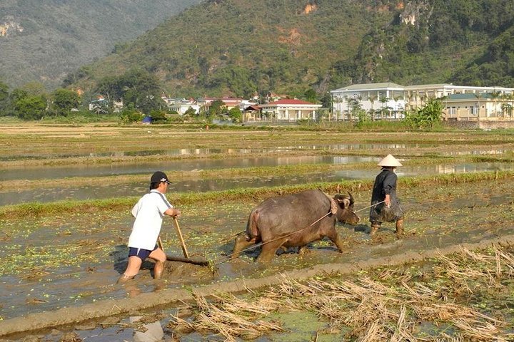 Mai Chau Pu Luong 2 Days 1 Night from Hanoi - Image 5