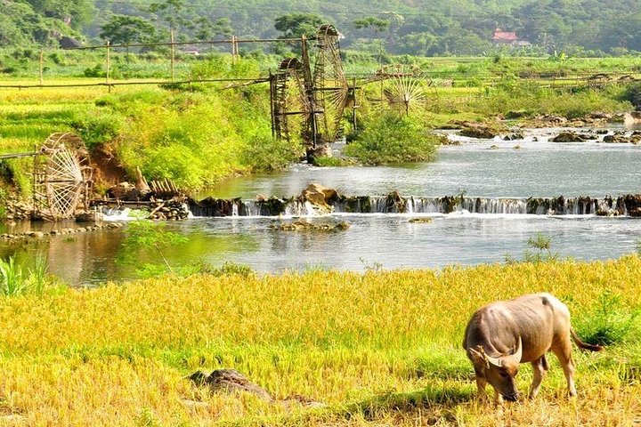 Mai Chau Pu Luong 2 Days 1 Night from Hanoi - Image 2