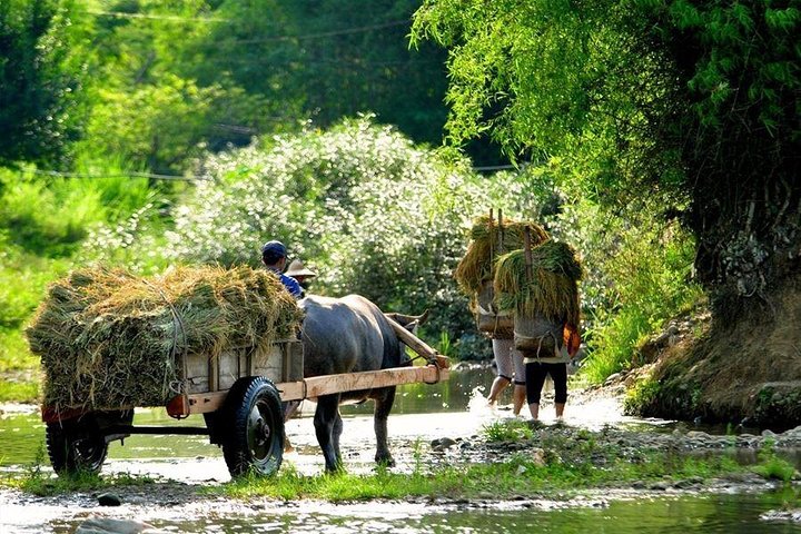 Mai Chau Pu Luong 2 Days 1 Night from Hanoi - Image 3