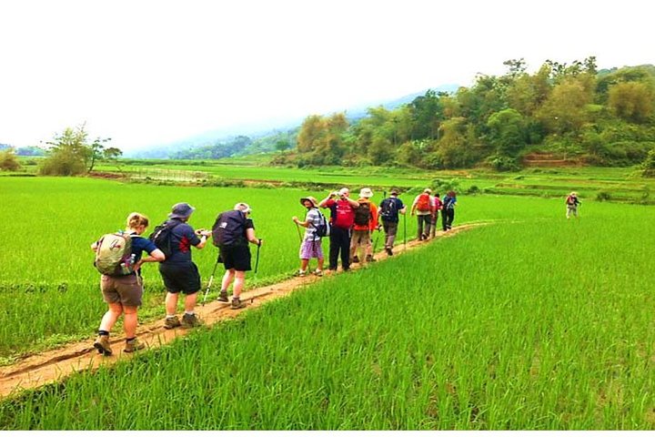 Mai Chau - Puluong Nature Reserve Trek 2 Days 1 Night - Image 4
