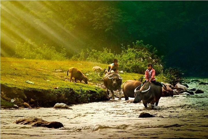 Mai Chau - Puluong Nature Reserve Trek 2 Days 1 Night - Image 5