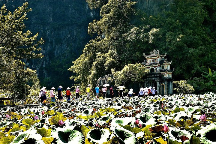 Ninh Binh Day Tour Small Group - Luxury Transfer - Image 2