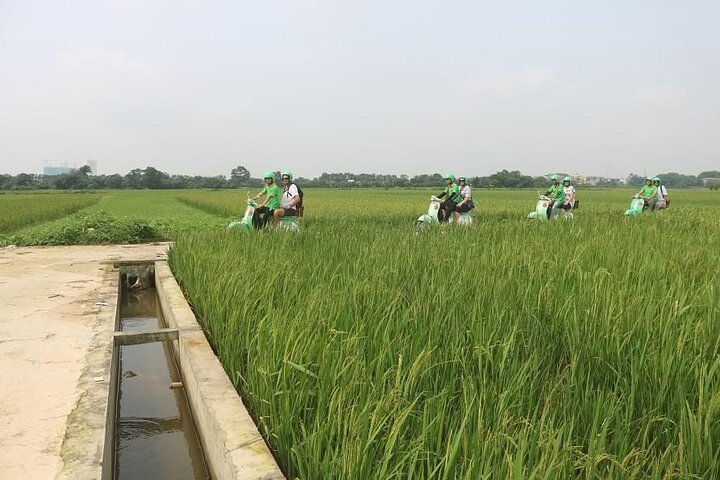 Ninh Binh Vespa Start from Hanoi + Boat + Villages +Rice Paddies - Image 1
