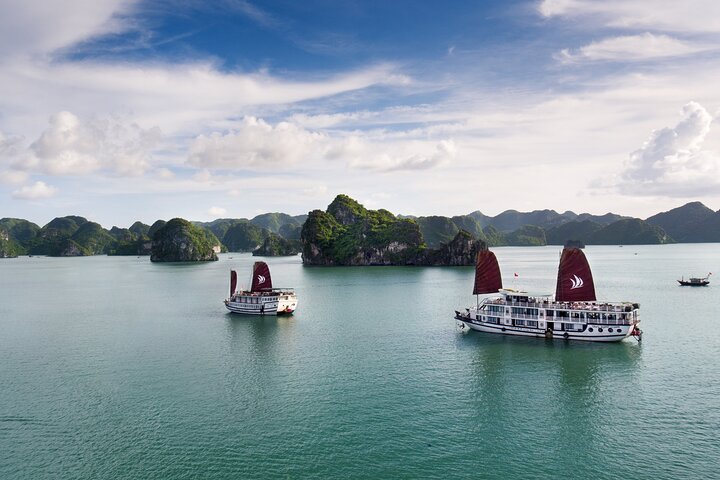 Overnight Bai Tu Long Bay Cruise from Hanoi - Ha Long Bay All-Inclusive - Image 4