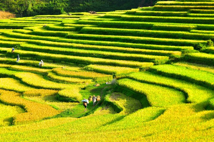 Pu Luong Nature Reserve: Pu Luong Tour & Daily Bus - Image 4