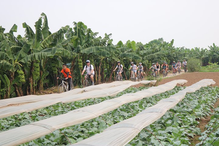 Red River island biking Expelore - Image 4