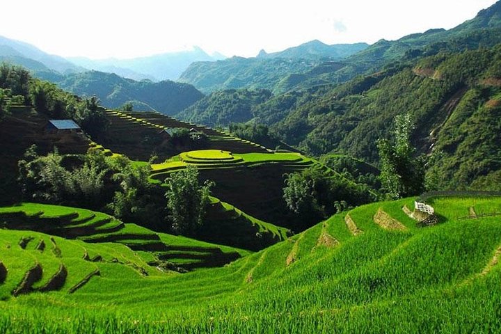 Sapa 2 Days 1 Night Bac Ha Market Tour (Overnight In Hotel) - Image 5