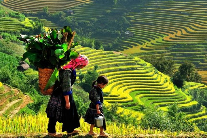 Sapa 2 Days 1 Night From Hanoi - Overnight in Hotel - Image 5
