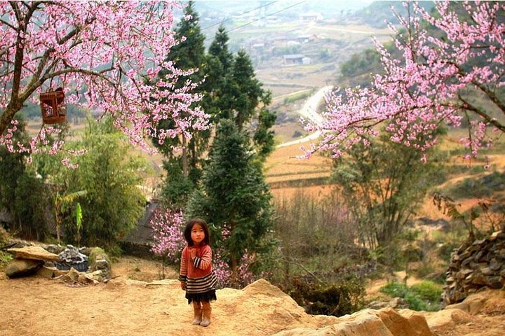 Sapa 3 Days 2 Nights Trekking Tour (1 Night In Ta Van Village, 1 Night In Hotel) - Image 1