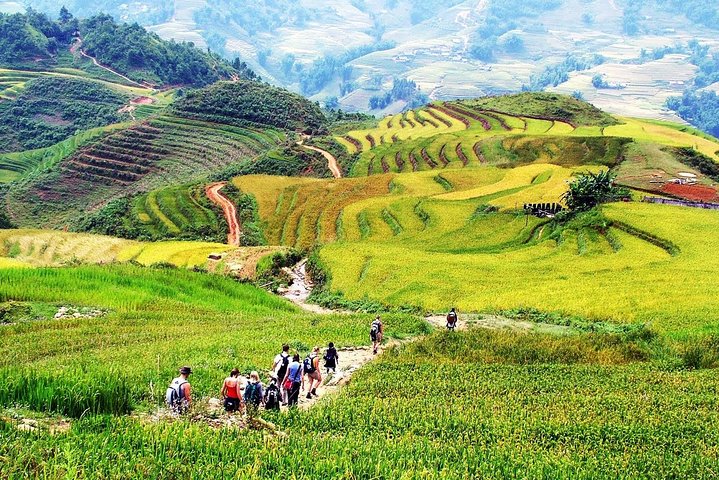 Vietnam Package Tours  - Image 3