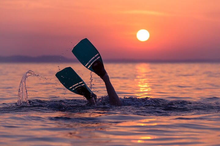3Hr, Sunset Dinner Turtle Snorkeling + 5 Activity - Free pickup - Image 3
