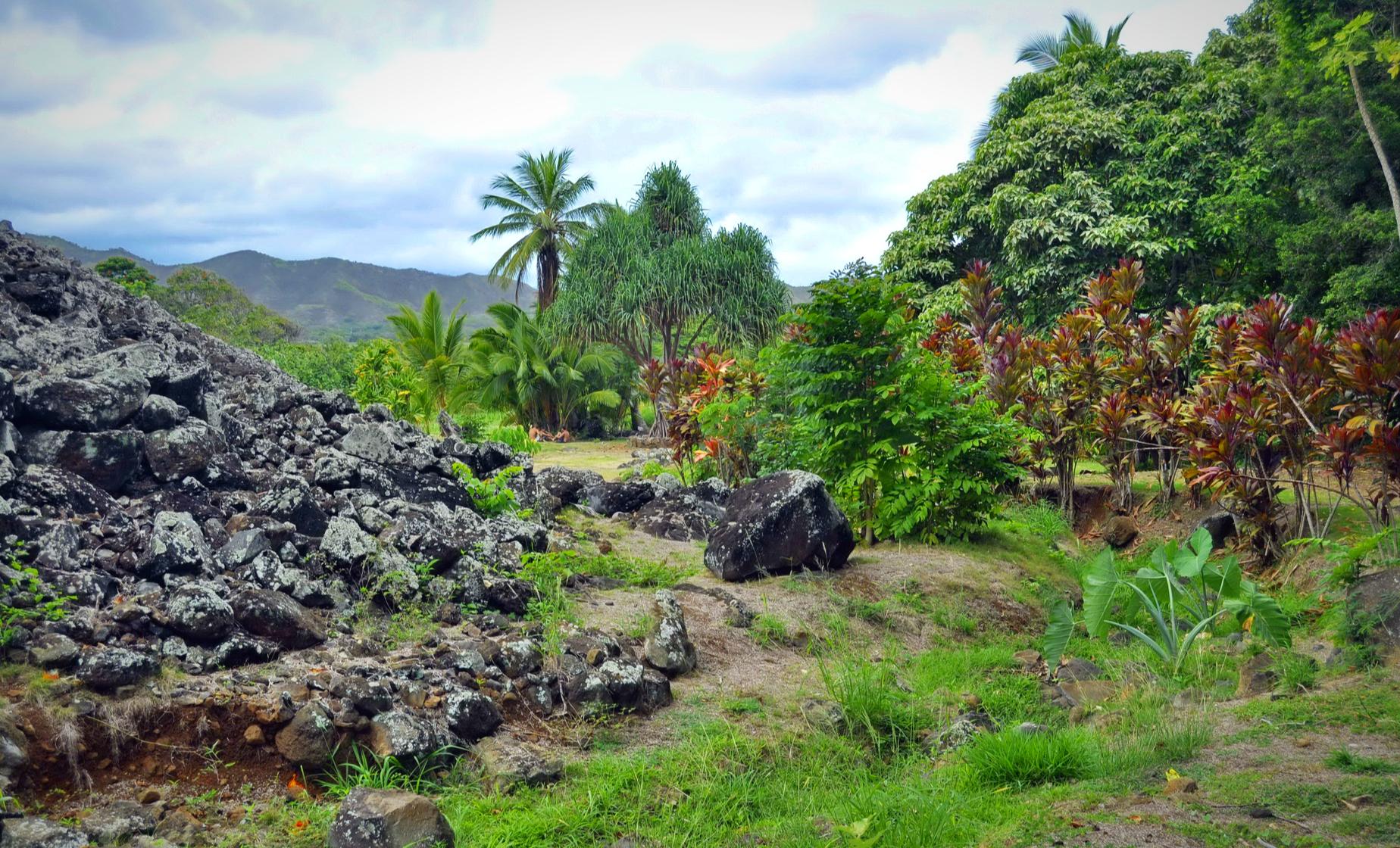 A Cultural Exploration of Oahu - Image 1