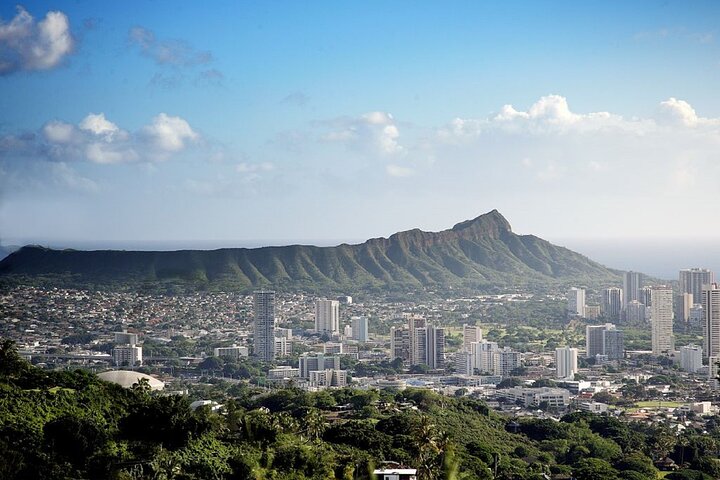Afternoon Honolulu City Tour - Image 2