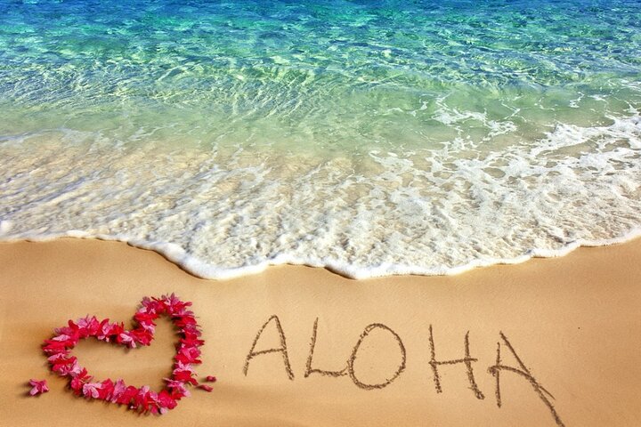 Aloha Grand Island Tour - Image 1