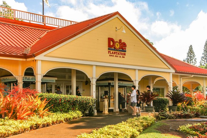 Best of Oahu: Pearl Harbor & Oahu Circle Island Tour from Waikiki - Image 4