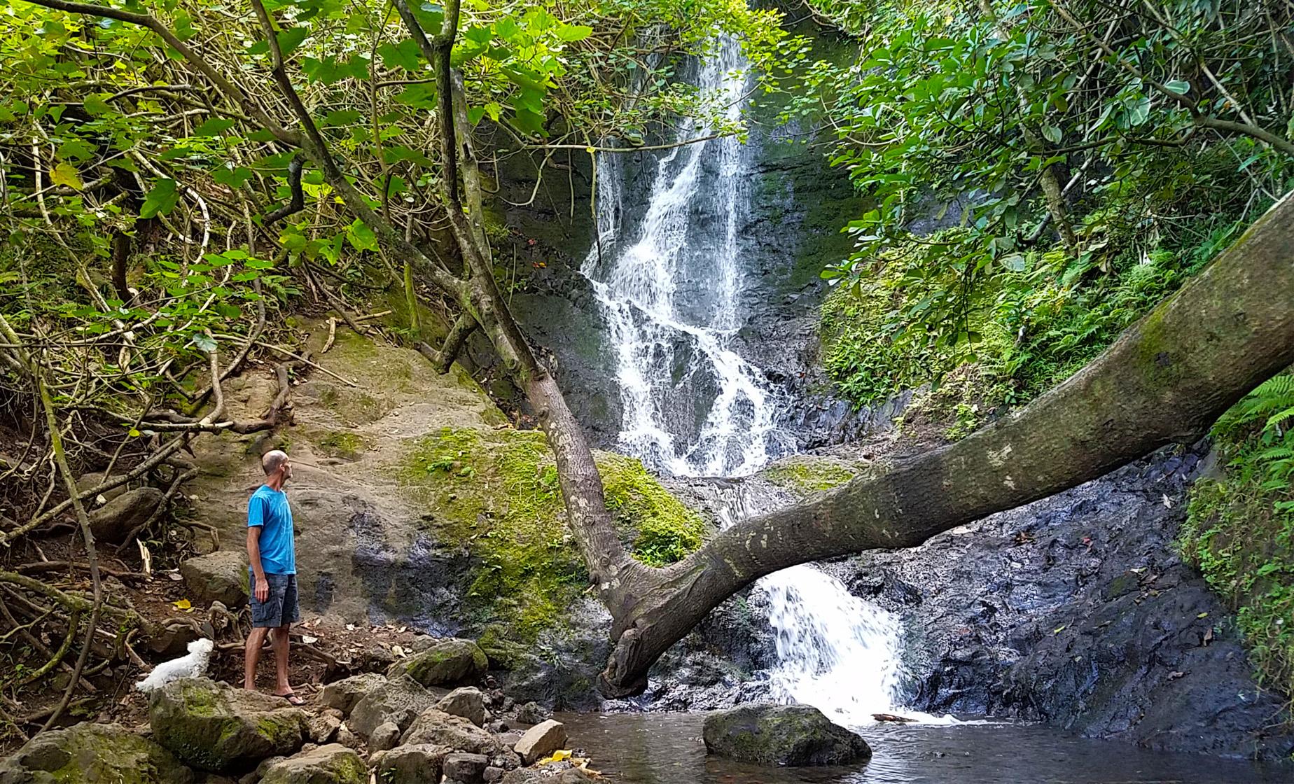 Bike, Hike, Sail and Snorkel Adventure (Full Day) - Image 1