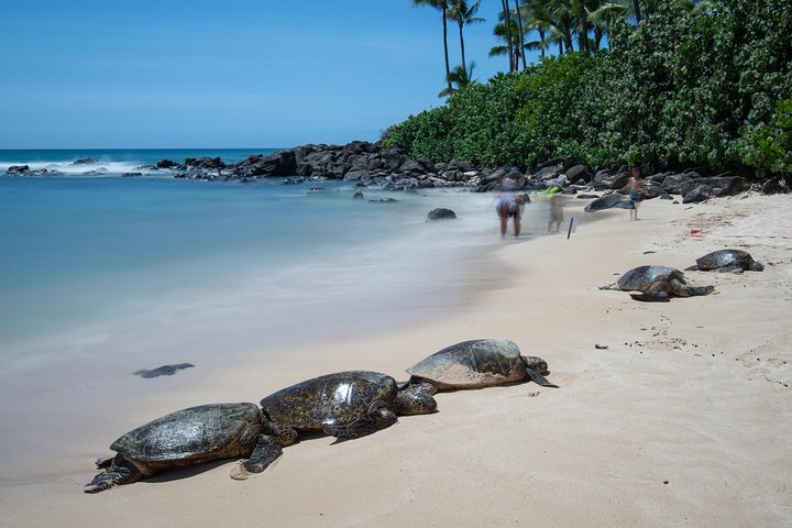 Complete Island Tour & Sunrise Photo Experience  - Image 3