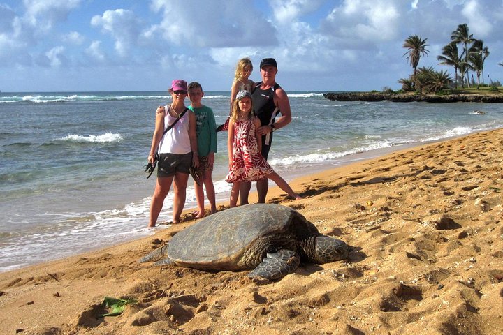 Custom Island Tour - for 1 to 3 people - up to 8 hours - Private tour of Oahu - Image 5