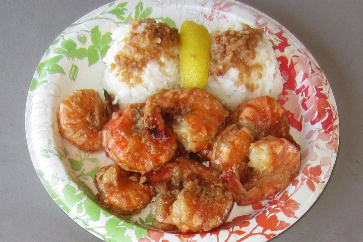 Custom Island Tour - for 4 to 5 people - up to 8 hours - Private tour of Oahu - Image 2