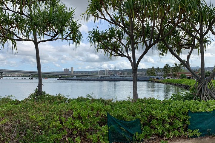 Dole Pineapple Plantation, Haleiwa Historical Town and Honolulu City Tour - Image 2