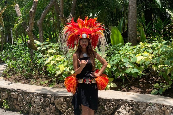 Dole Pineapple Plantation, Haleiwa Historical Town and Honolulu City Tour - Image 4