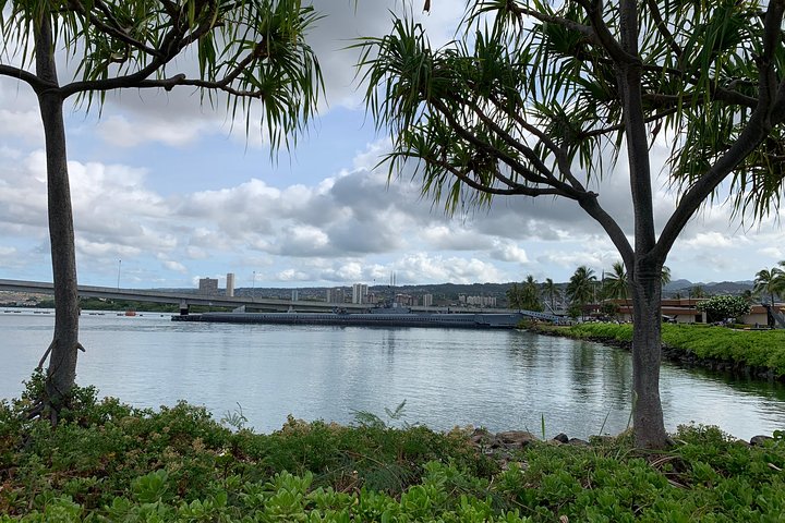 Dole Pineapple Plantation, Haleiwa Historical Town and Honolulu City Tour - Image 5
