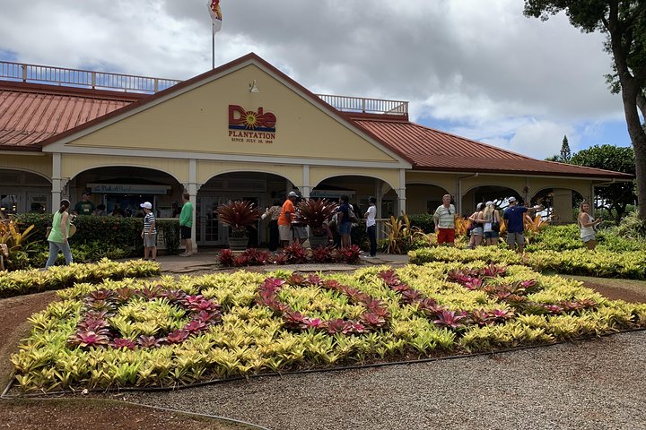 Dole Pineapple Plantation, Haleiwa Historical Town and Honolulu City Tour - Image 1