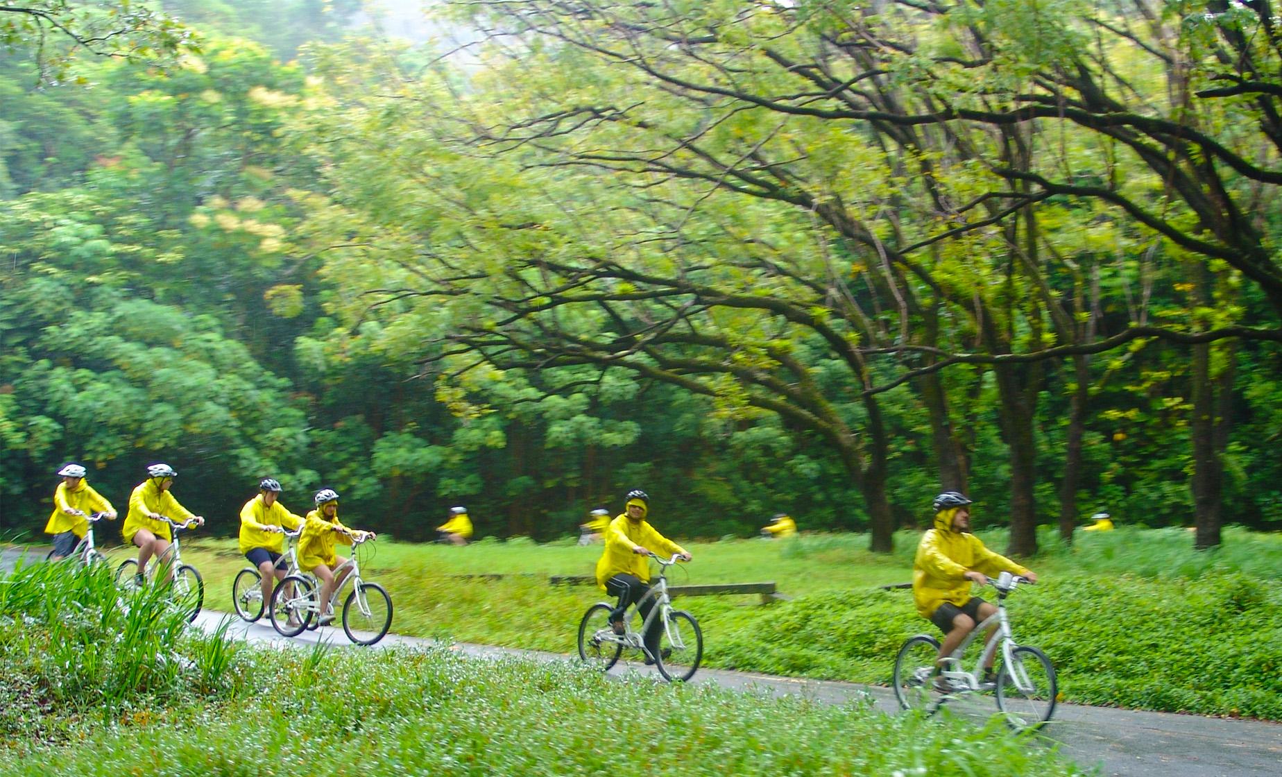 Downhill Cycling Adventure - Image 1