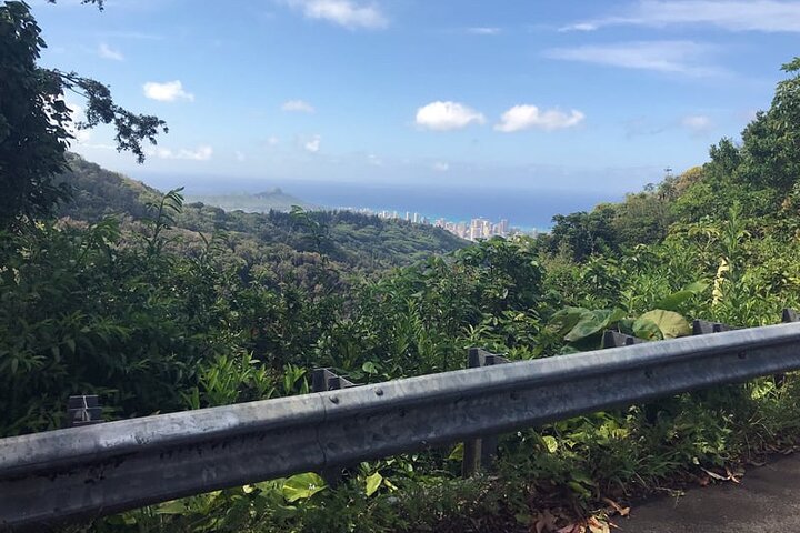 Easy Private Hike in Honolulu (Choose 1 of 2 trails) 2-4hrs  - Image 1