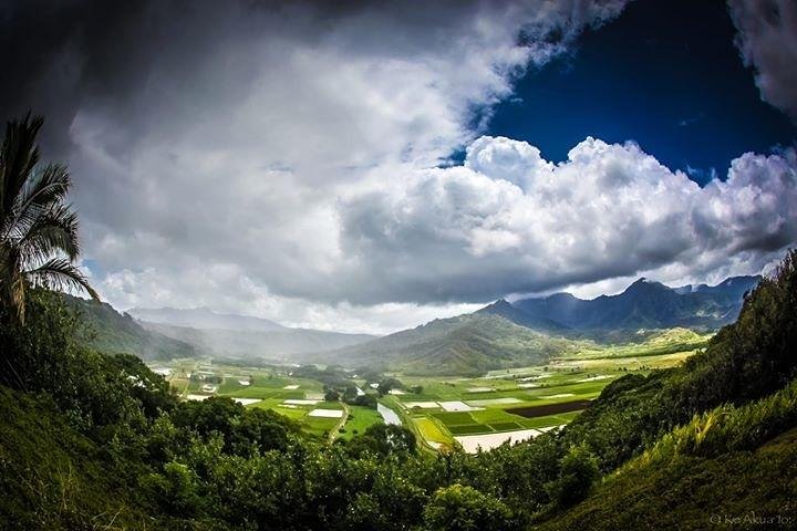 Eco-adventure friendly Aloha Island Tour - Image 1
