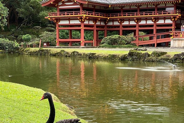 Explore O’ahu island with a friendly local in a small group - Image 4