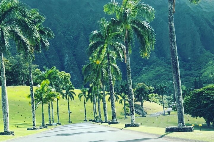 Full-Day Circle Island Guided Small-Group Tour of Oahu (12 max)Se habla Español) - Image 5
