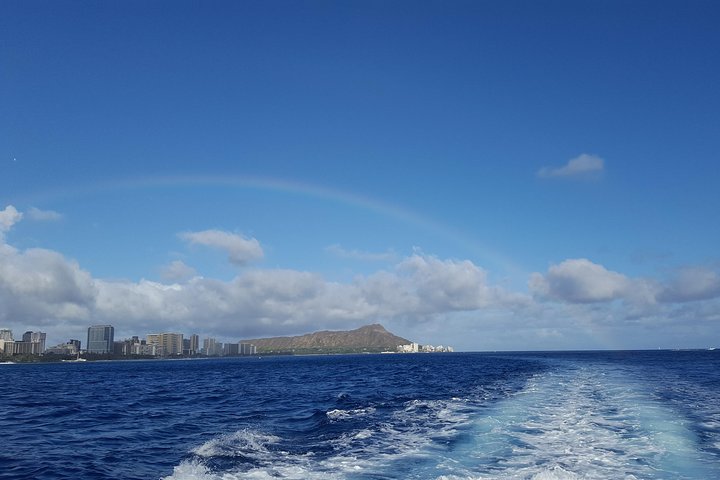 Half Day Oahu Combo Adventure: Bike, Sail and Snorkel - Image 2