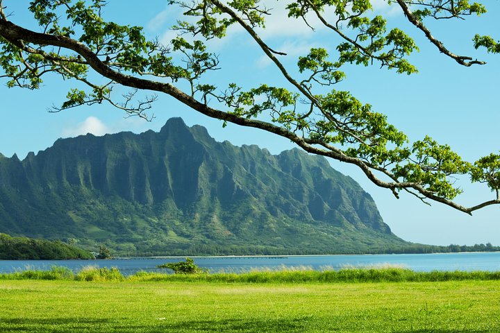 Hang Loose at North Shore, Oahu Private Tour - Image 5