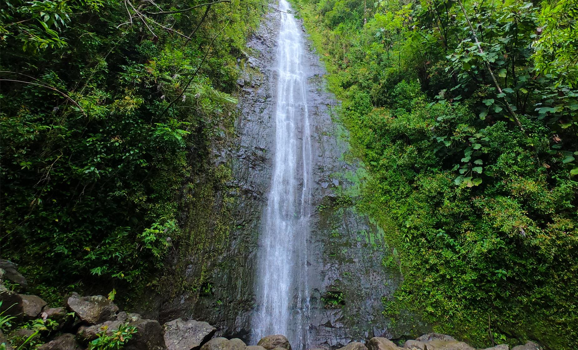 Hawaiian Rainforest Hike - Image 1