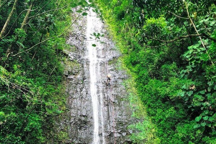 Hike Trail to Waterfall & Nature Walk - Image 2
