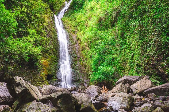 Hike Trail to Waterfall & Nature Walk - Image 1