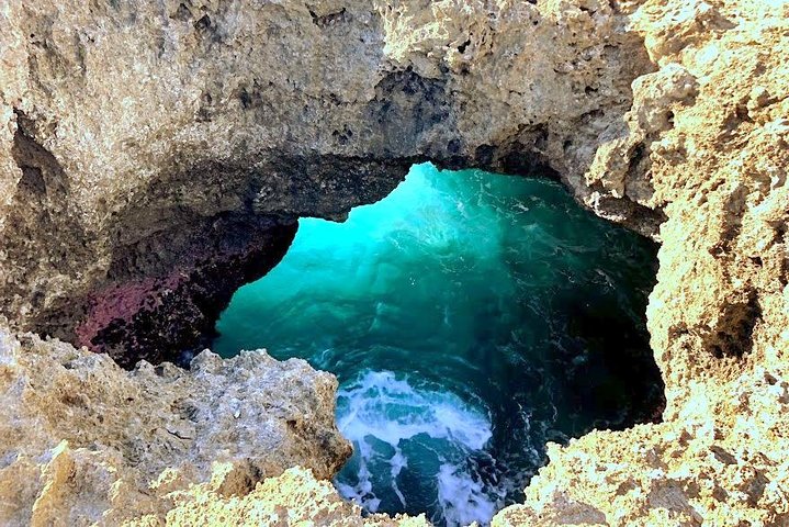 Incredible west side hidden gems of Oahu(Optional tour with celebrity Hula dog) - Image 4