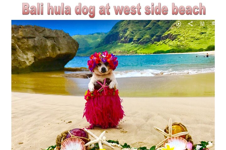 Incredible west side hidden gems of Oahu(Optional tour with celebrity Hula dog) - Image 5
