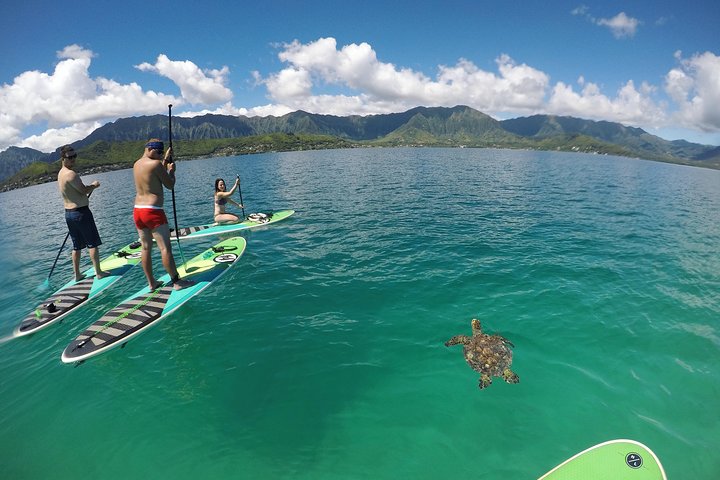 Mahina Hawaii Full Day Adventure - Image 4