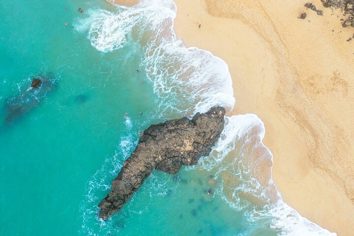 North Shore of Oahu Private Full-Day Tour with Local Guide - Image 4