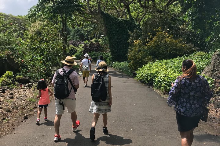 North Shore / Waimea, Falls Day & Swim with Turtles - Image 2