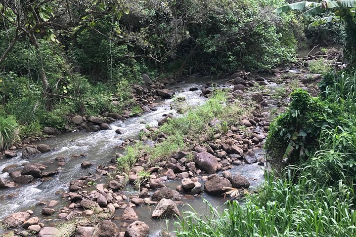 North Shore / Waimea, Falls Day & Swim with Turtles - Image 3