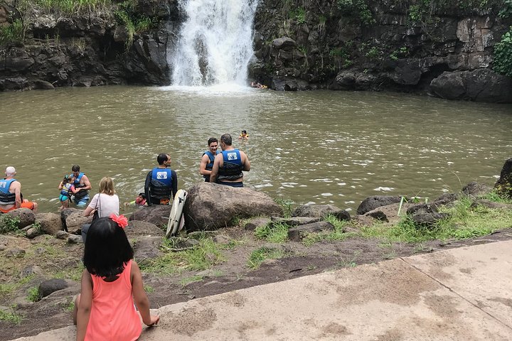 North Shore / Waimea, Falls Day & Swim with Turtles - Image 1