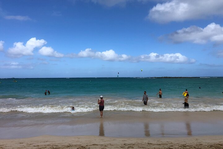 North Shore / Waimea, Falls Day & Swim with Turtles - Image 4