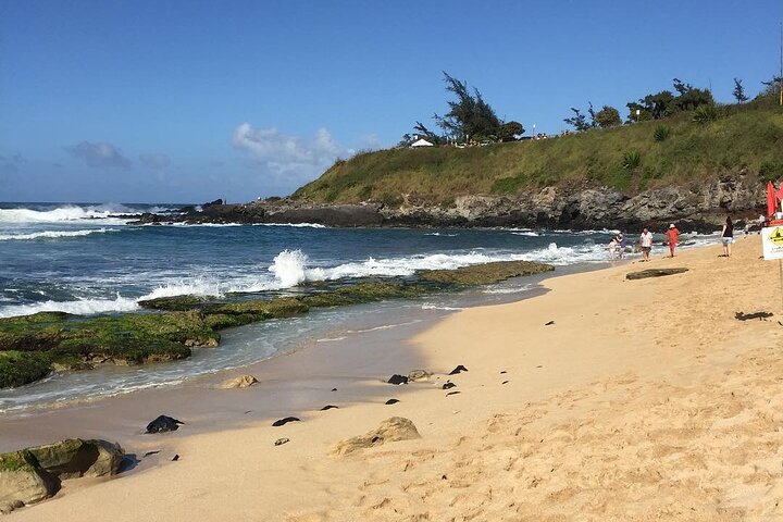 Oahu Grand Circle Island Tour Departing from Maui - Image 3