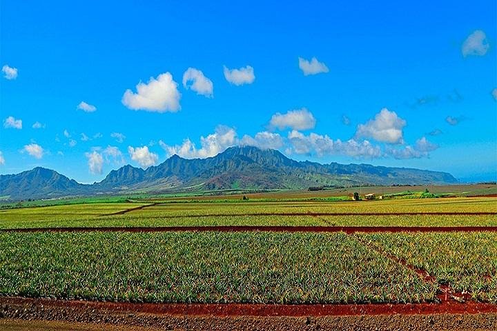 Oahu Grand Circle Island Tour Departing from Waikiki  - Image 2