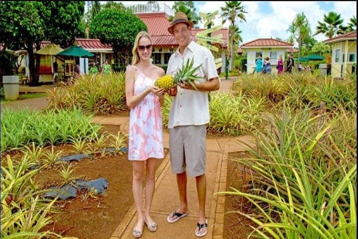 Pearl Harbor + Dole Plantation + Polynesian Center from Kauai - Image 5