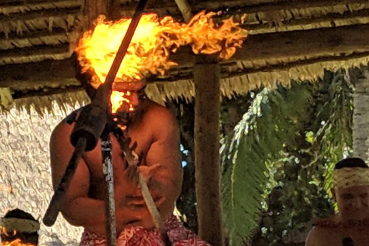 Pearl Harbor + Dole Plantation + Polynesian Center from Kauai - Image 2
