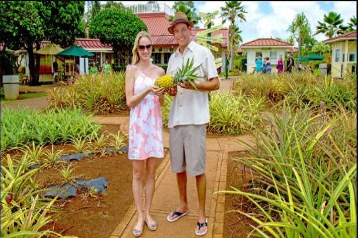 Pearl Harbor, Dole Plantation, Polynesian Center from Waikiki  - Image 1